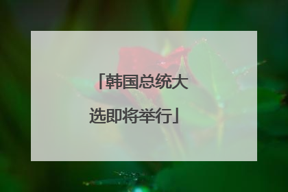 韩国总统大选即将举行